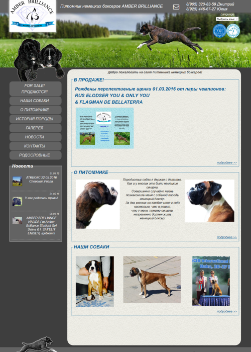 Бизнес-сайт питомника немецких боксеров г.Саратов